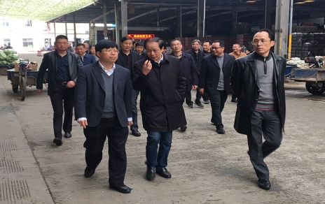2017年3月16日下午，嘉興市委常委、常務副市長樓建明帶領市級相關部門負責人視察嘉興蔬菜批發市場