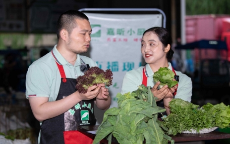 千金如玉，一口清心--生菜?油麥菜?萵筍直播專場